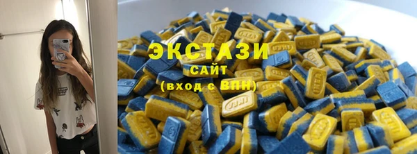 apvp Инта