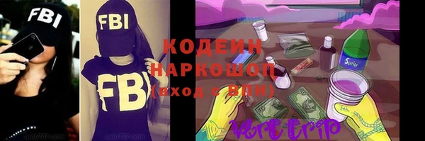 хмурый Иннополис