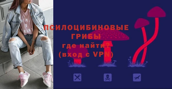 apvp Инта