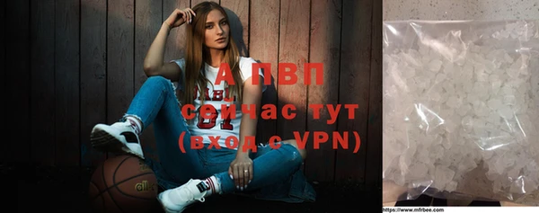 apvp Инта