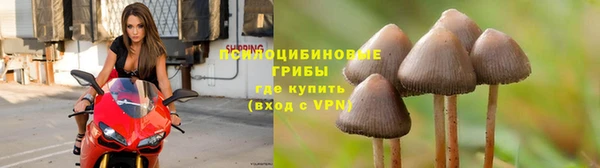 марки nbome Инсар