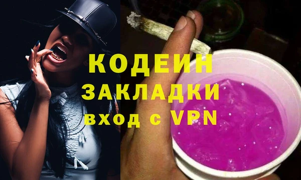 apvp Инта