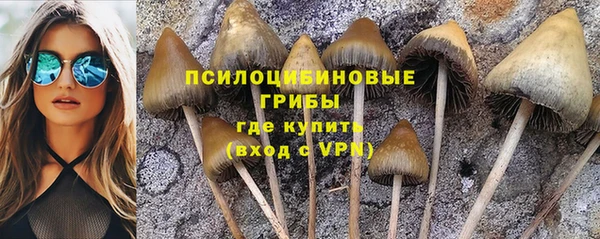 марки nbome Инсар